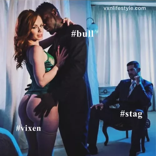 Who loves this mfm threesome dynamic?  by vxn_lifestyle