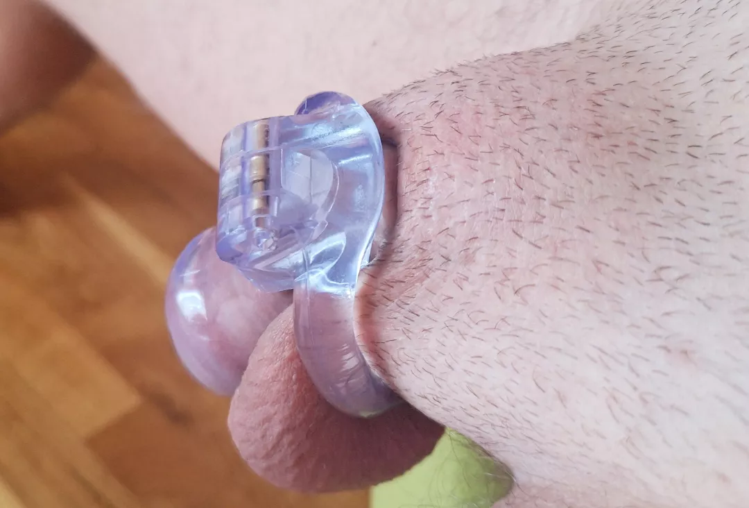 First chastity help!!! posted by Money-Raspberry-9404