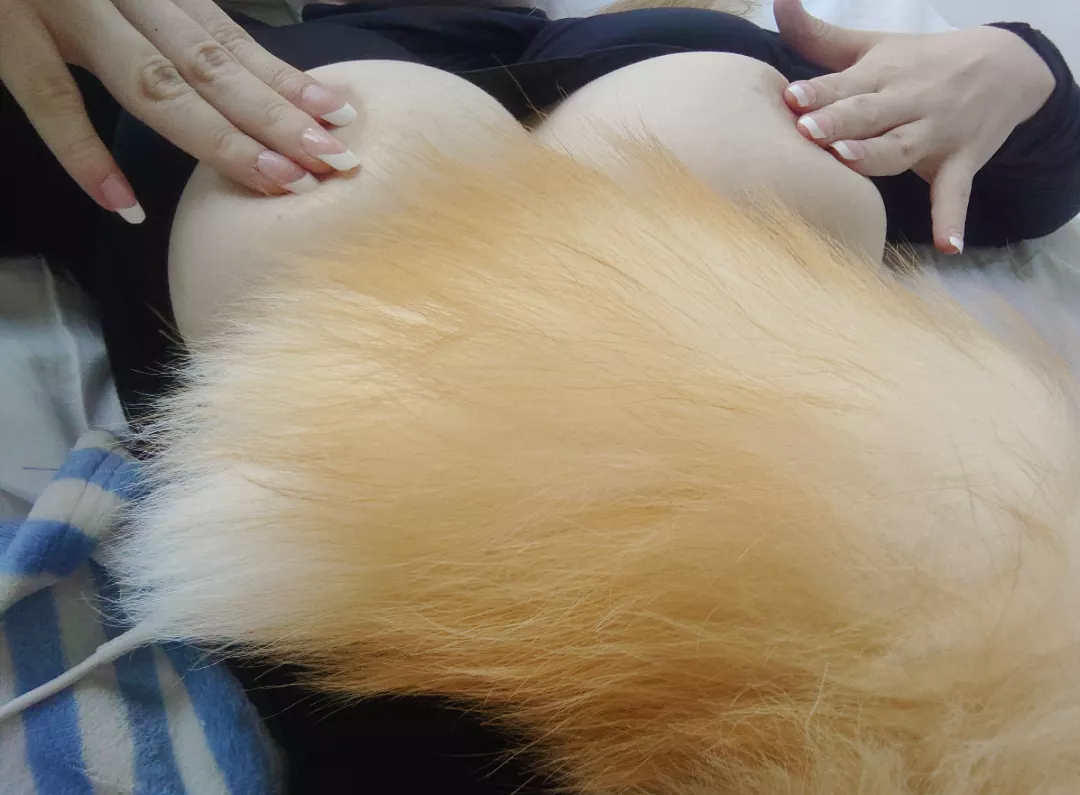 In heat ... What looks softer, my boobs or my tail? posted by Puppy_Girl69
