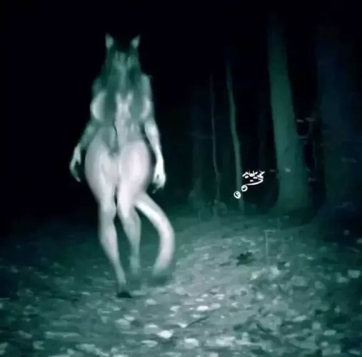 I’ve seen this on twitter but can’t find the source anybody know? by PrimalFearX