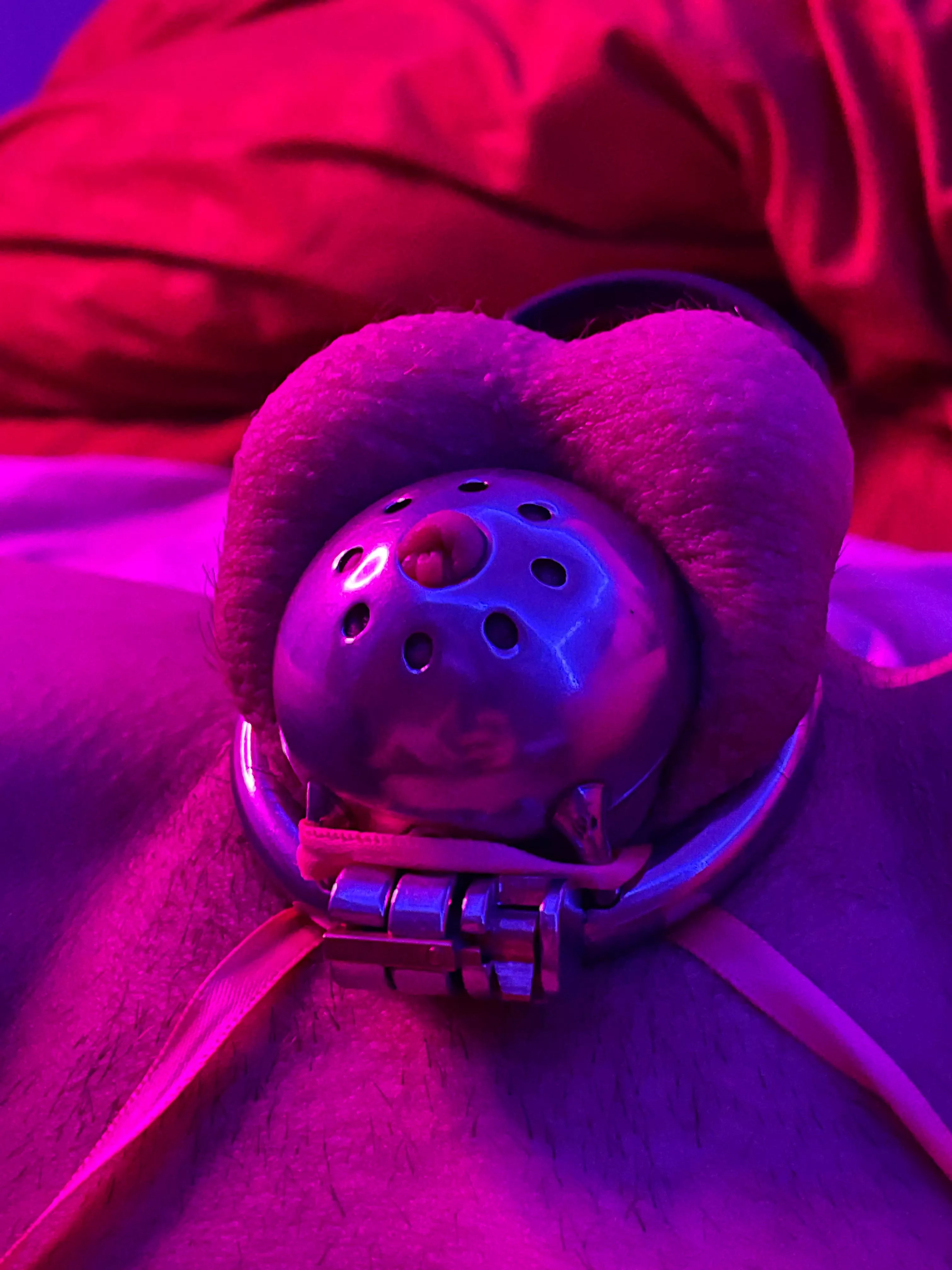 Locked while she gets bigger d. posted by sofi-your-kitten