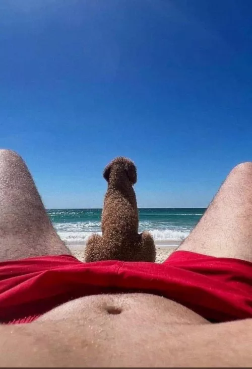 Rate my big dawg  by mbeet182