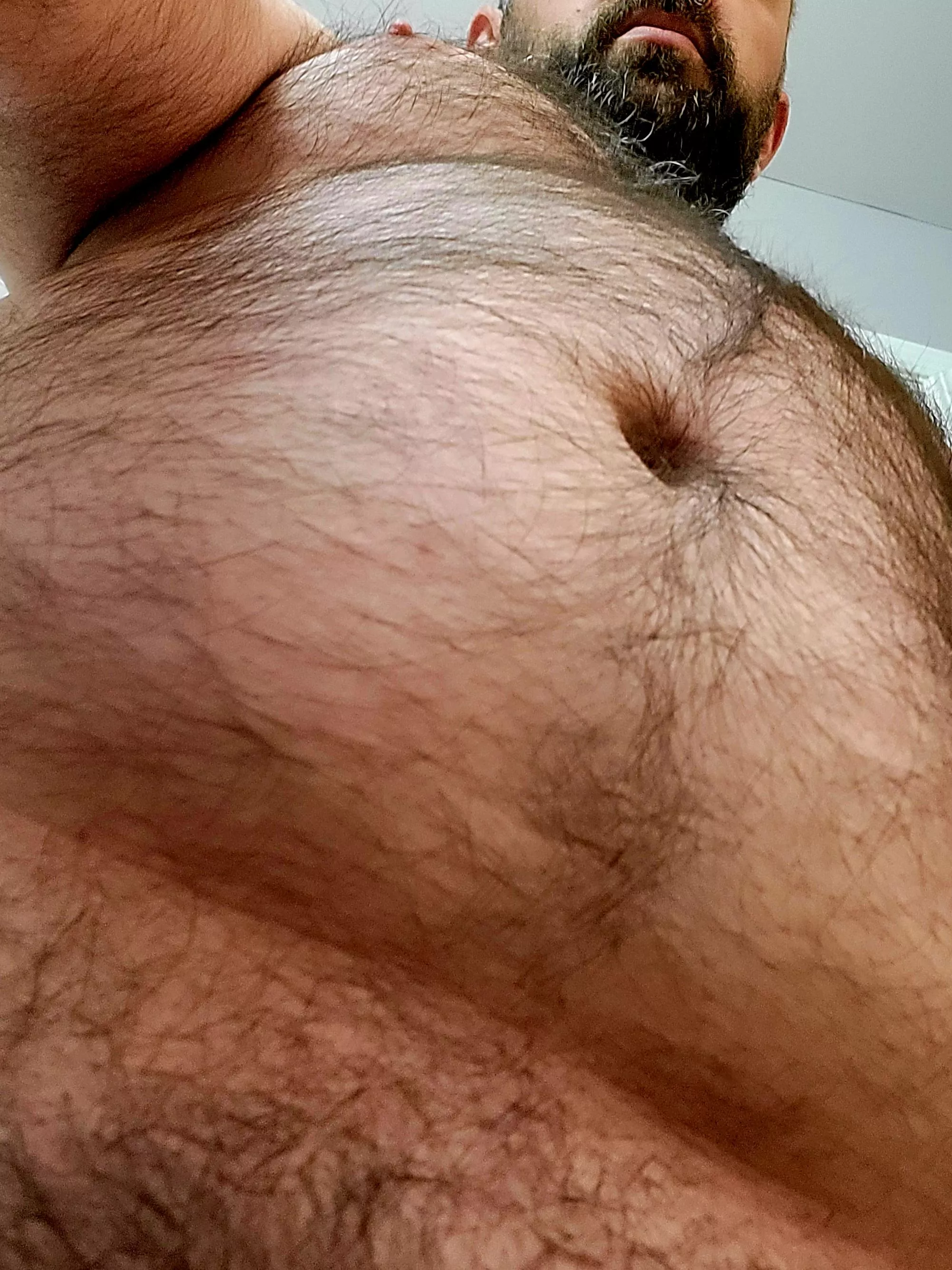 Want to pet the fur? posted by hairychubbyman