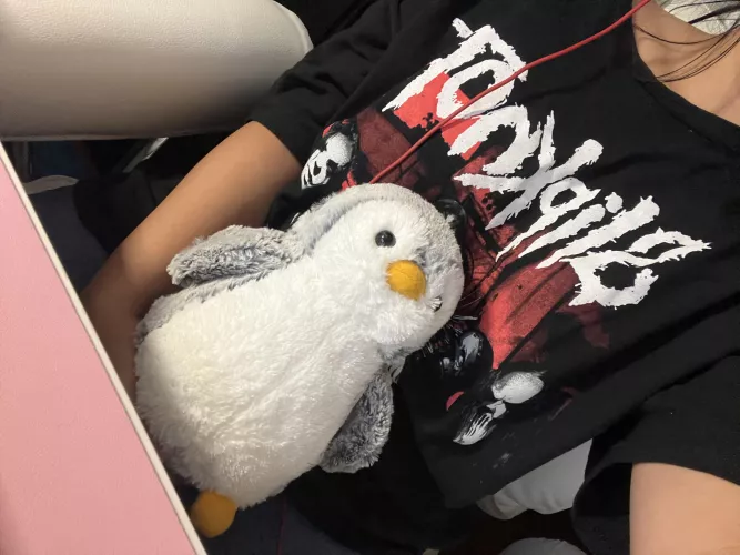 Willis is the perfect gaming buddy >.< by Aggravating-Bird760