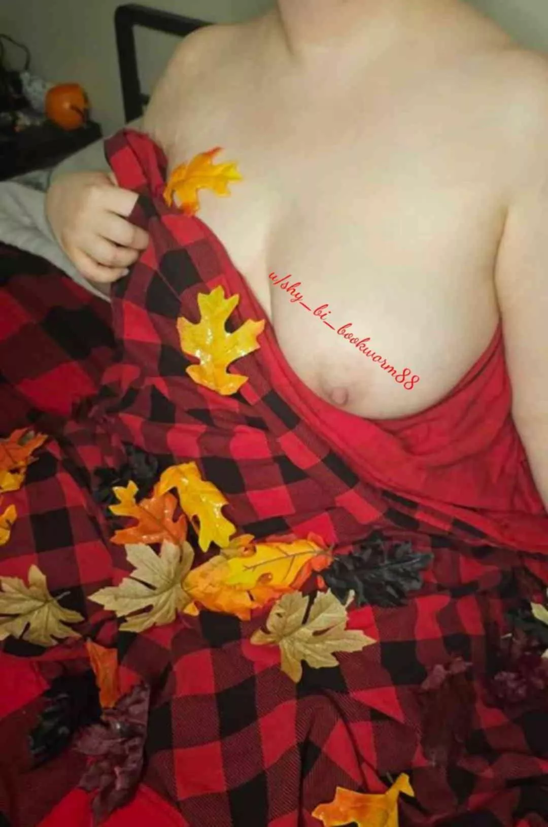 Almost my favorite time of year  posted by Shy_bi_bookworm88