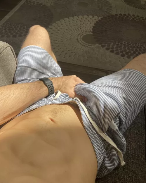 Are you a seersucker? by gojira_26