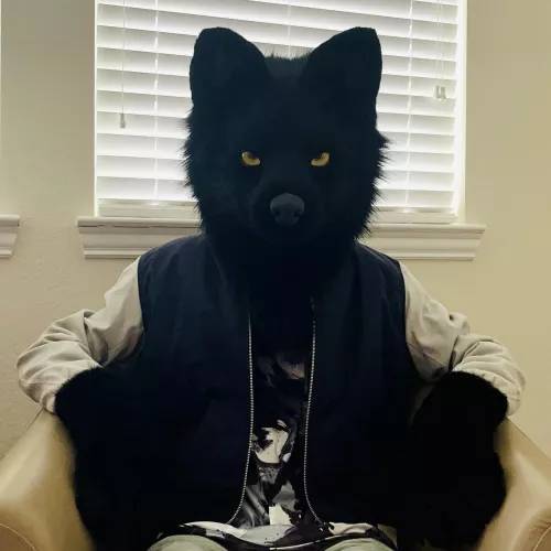 Happy International Wolf Day! 🐺 by alp1neeeee