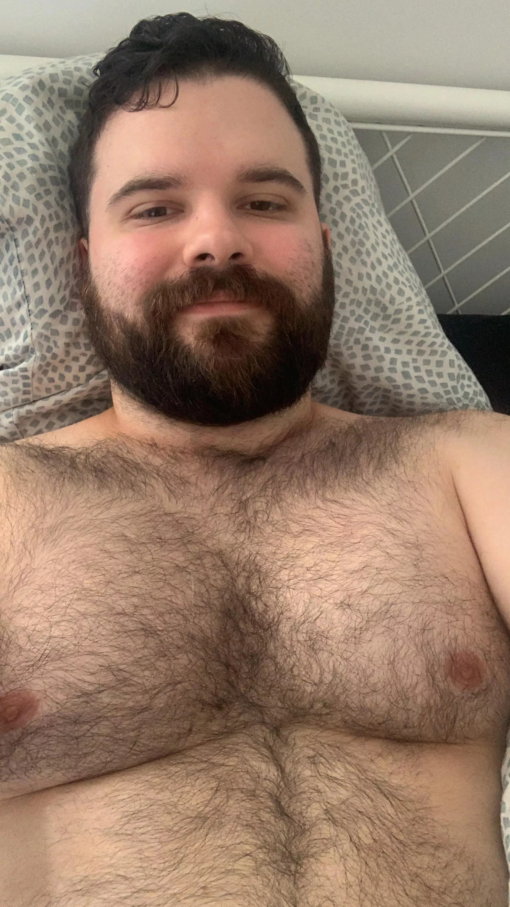 How did I never realize that there’s a bear subreddit 😂 posted by Dont_live_here