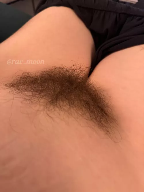 Rate my bush 1-10 by baby_moonn