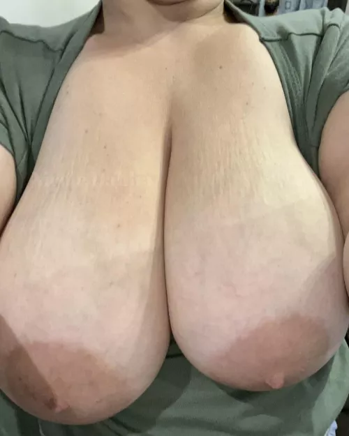 They’re too perfect to hide!  by Nicoledahlia