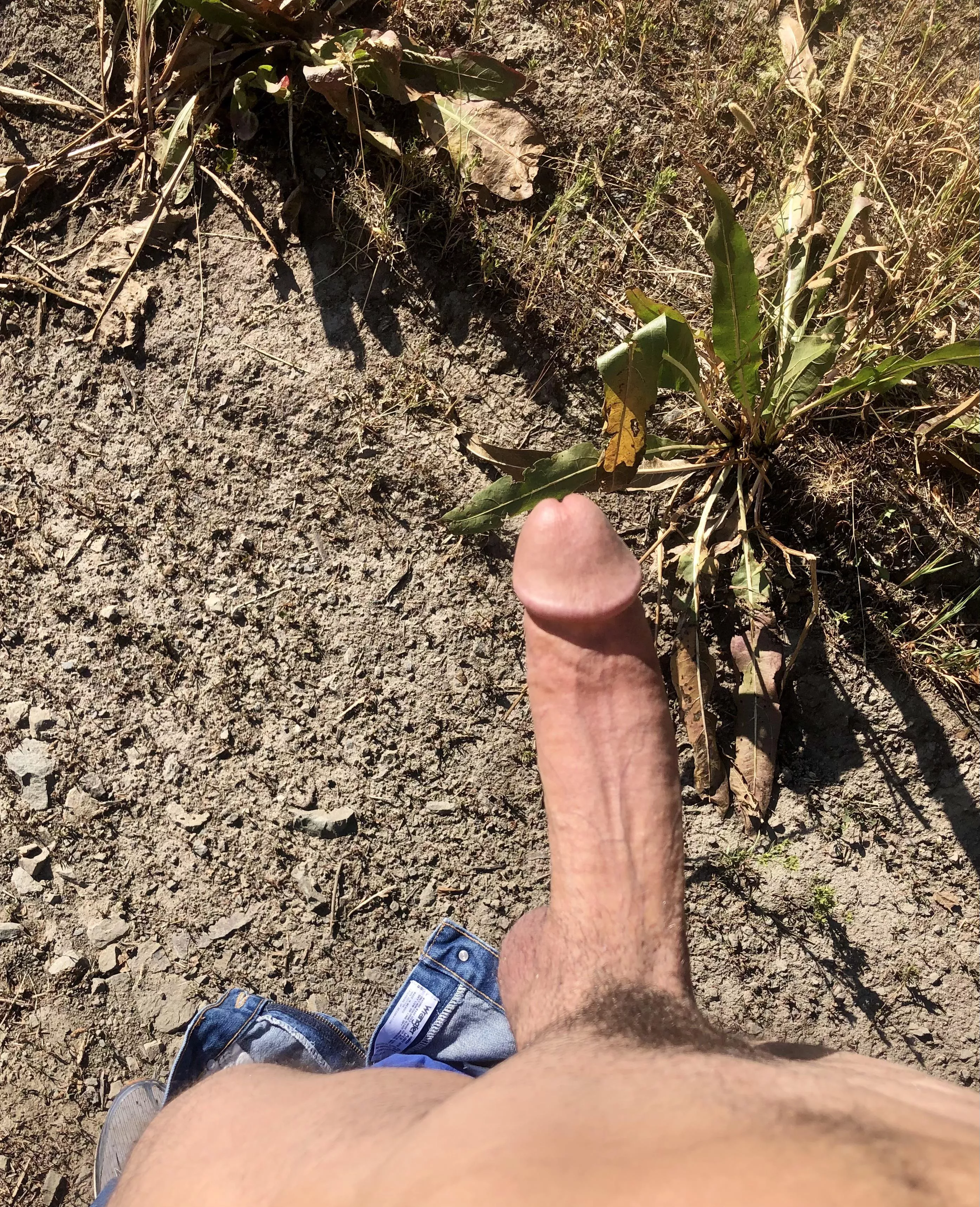 How do I compare to your boyfriend? posted by goingdowngoingup