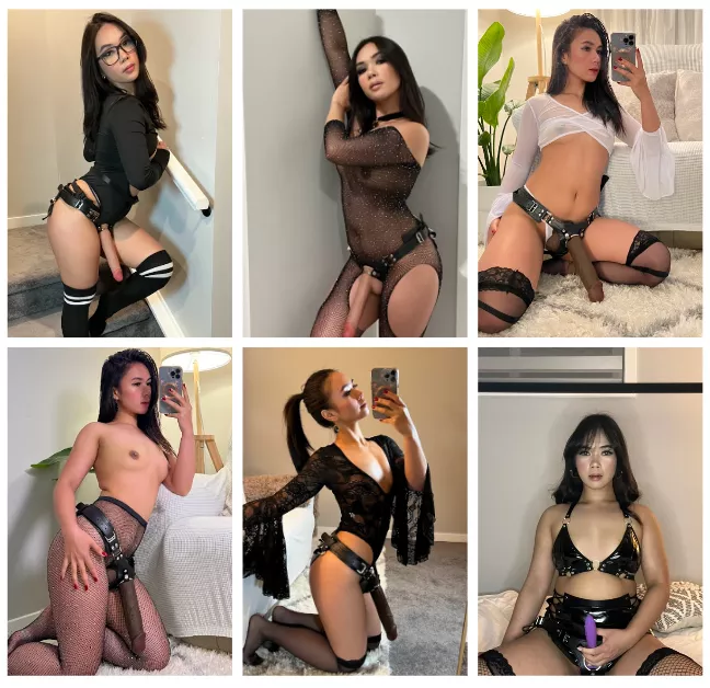 Pick a number from 1-6 and I'll send you a surprise (: posted by EvelynsLair