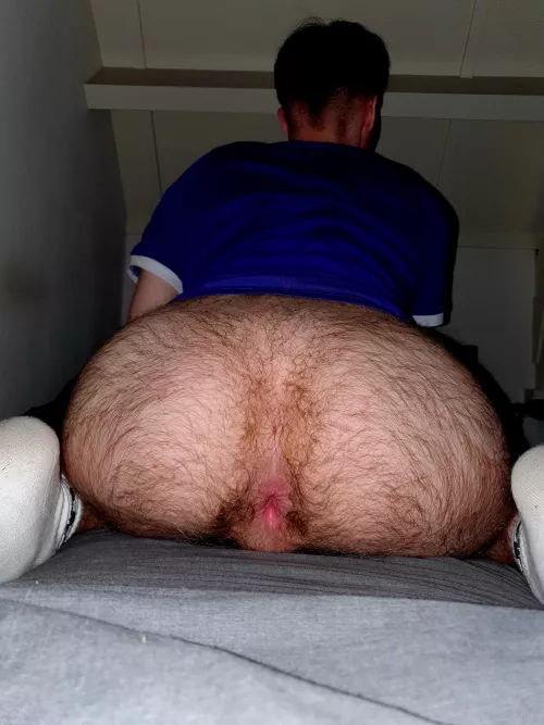 Should men have hairy asses? by Separate_Fly6315