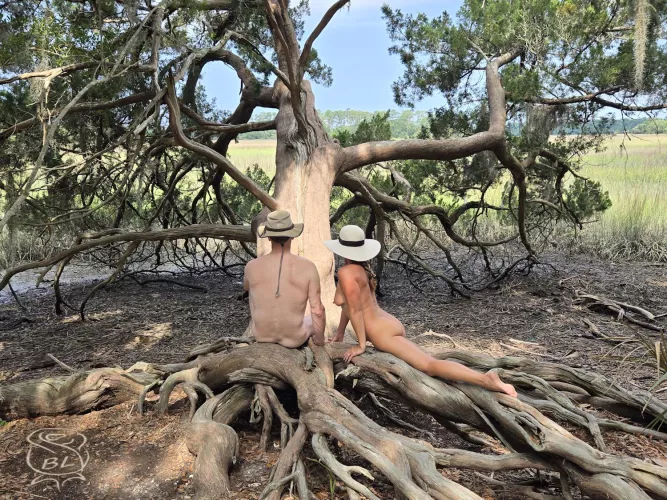 Southern Comfort by BareLeiaRose