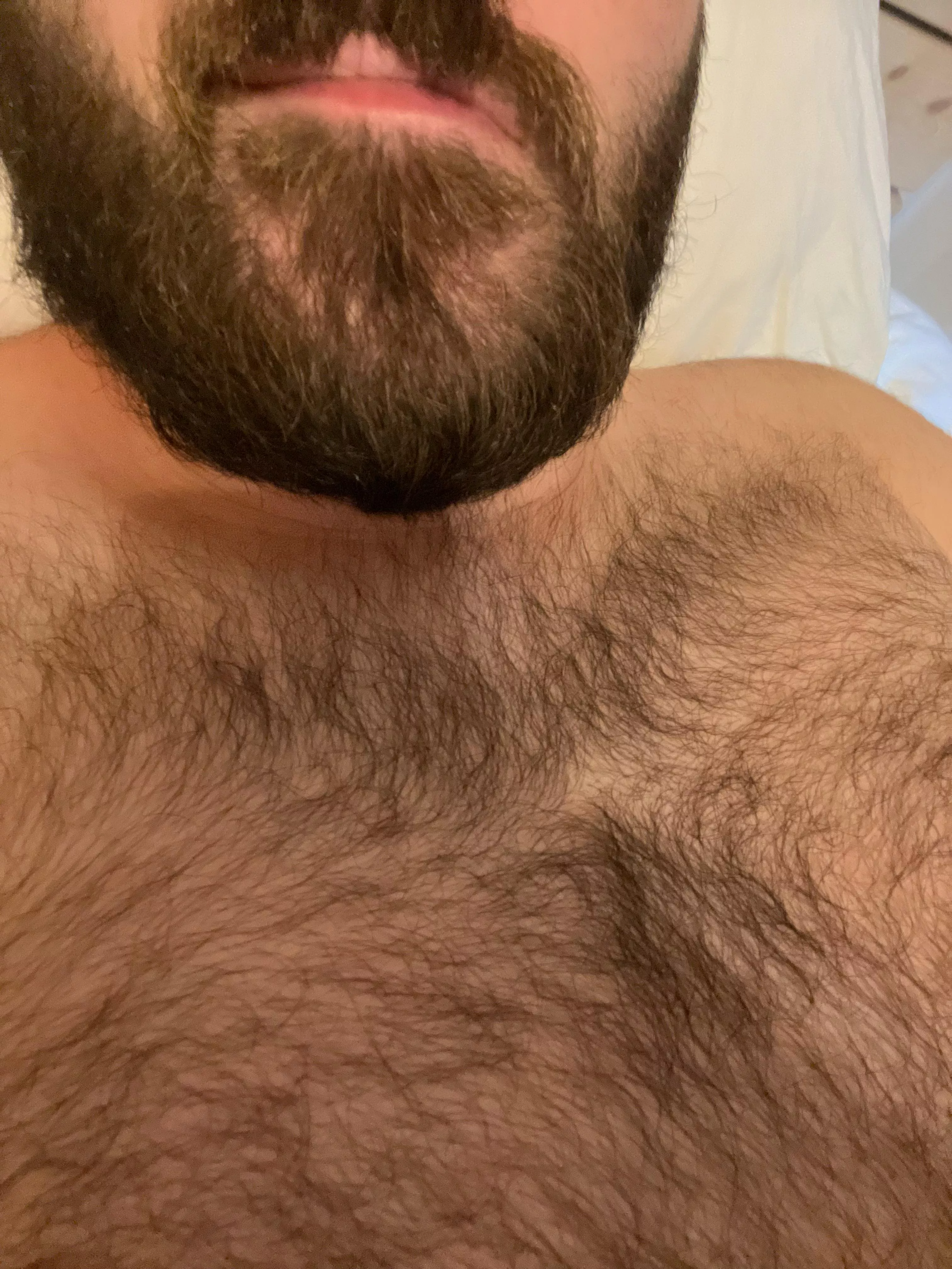 30 bear looking for fun @jonbear30  posted by heyjon94