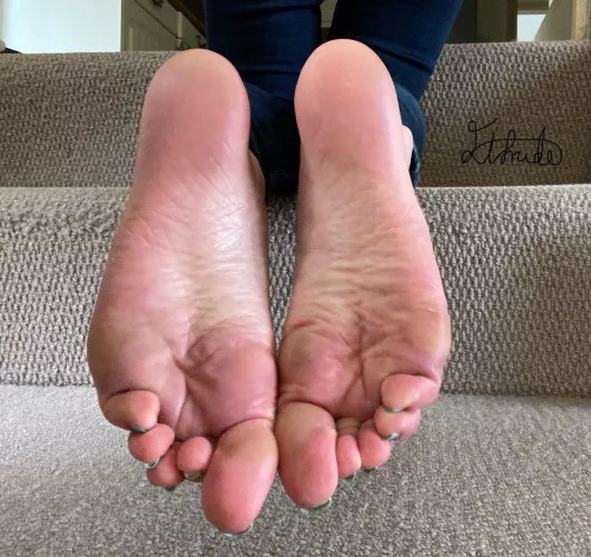 Can you count the wrinkles? by Elfrida77