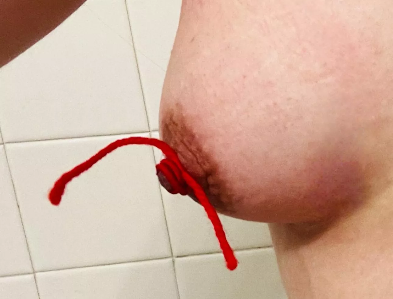 must be forgetting something but I can't remember what posted by artsyelly