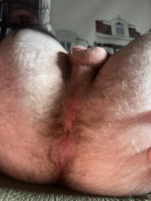 Who likes a hairy hole?  by Tatted_Up_Jock