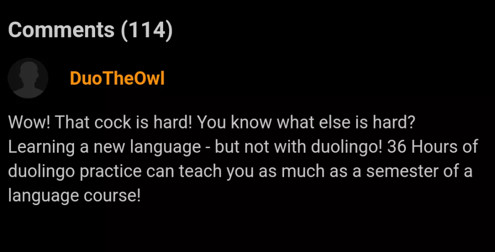 You can never escape the Duolingo bird. by TheDanBexfield