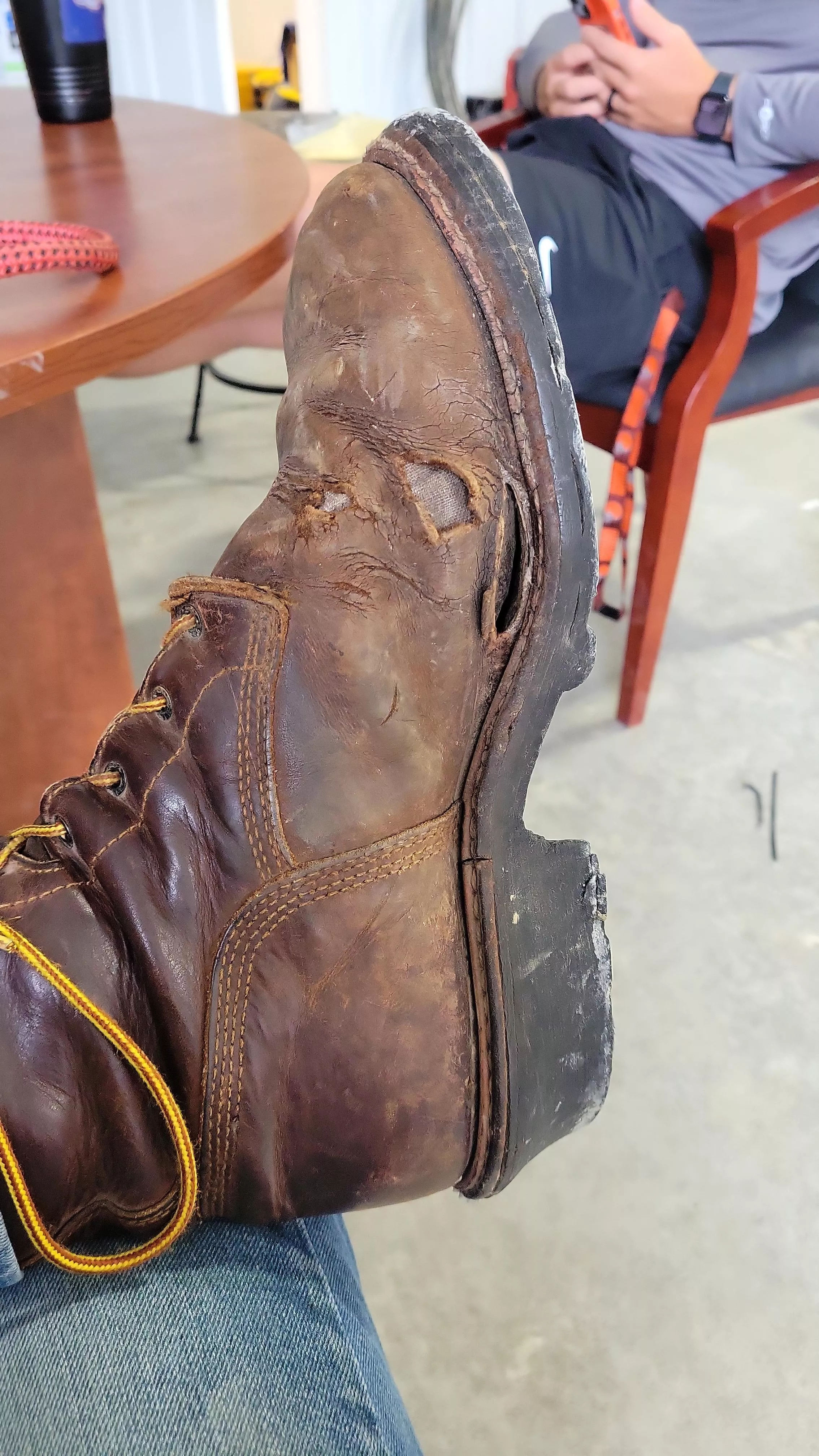 5 year old Redwings posted by ActiveCroissant