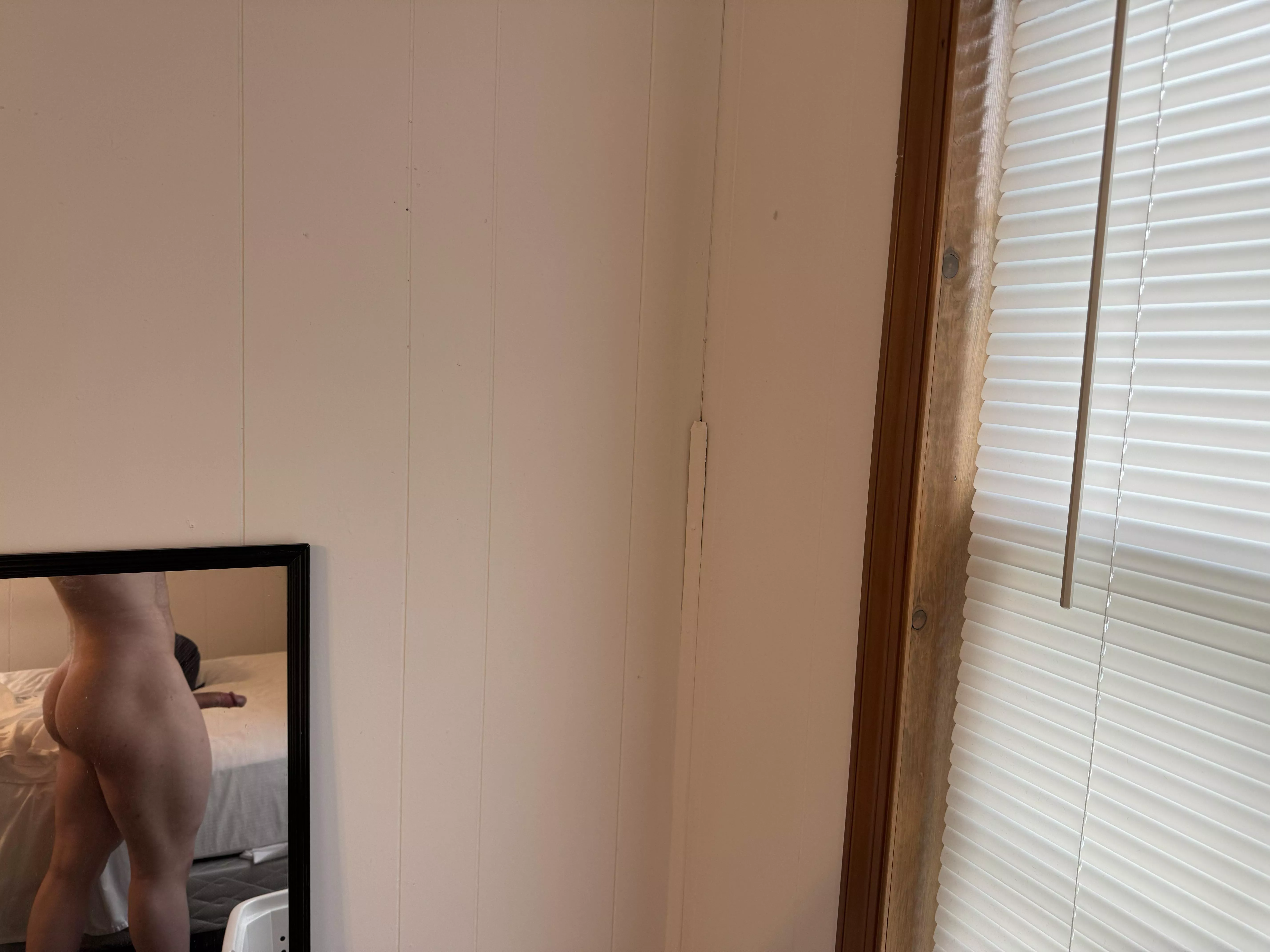 Ass and cock, two-for-one special  posted by Icy-Combination-6888