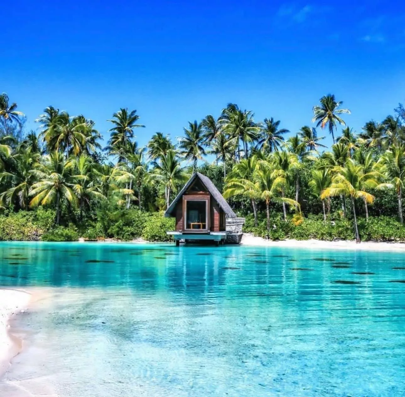 Bora Bora, French Polenysia  posted by ItsRonzz