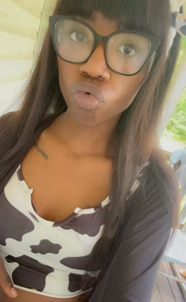 Just a little Cow face. 🐮  posted by CarouselWhisper