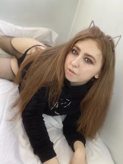 The cat wants to lie around in an embrace and do nothing by Kittyybrownn