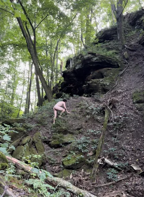 Exploring in the forest by sa_advice