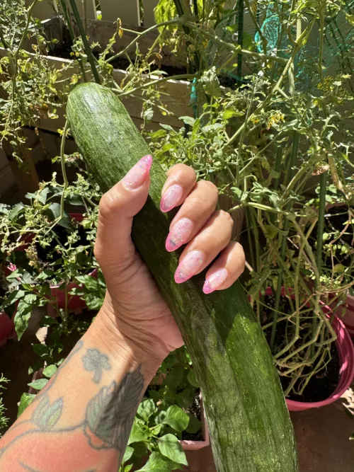 I do them myself, I love the way they look wrapped around a big one  by Thepinkrollerskater