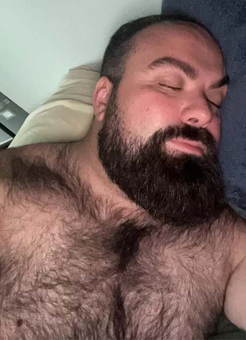 Just a sleepy bear - anyone wanna cuddle?  by Money_Ad_1556