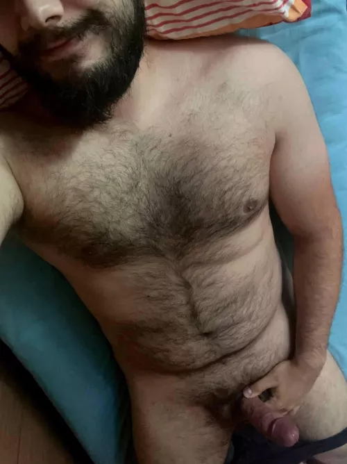 Just woke up, excuse the scruffy bearded look. I’d be in need of some help with this big hairy hard cock… by Sad_Manufacturer2370