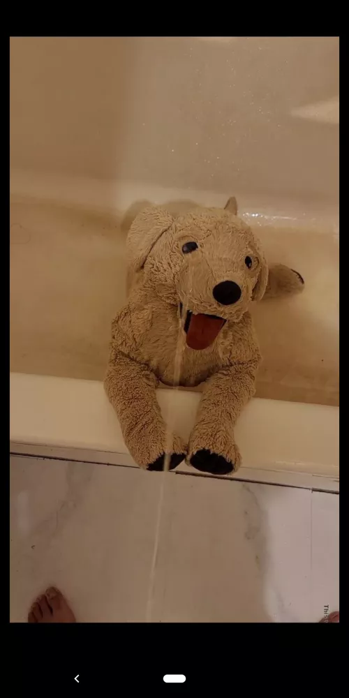 Plushie toilets anyone? by Wise_Relationship565