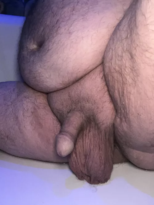 This Bear wants to get more into leather.  by zelcrosmile