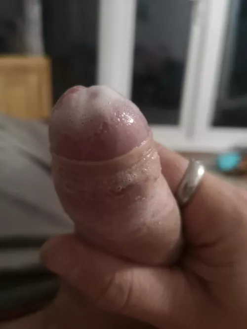 [36] creamy tip by Frosty_Impress_6514