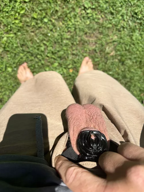 Caged and denied for 17 days now by Ill-Plum-6357