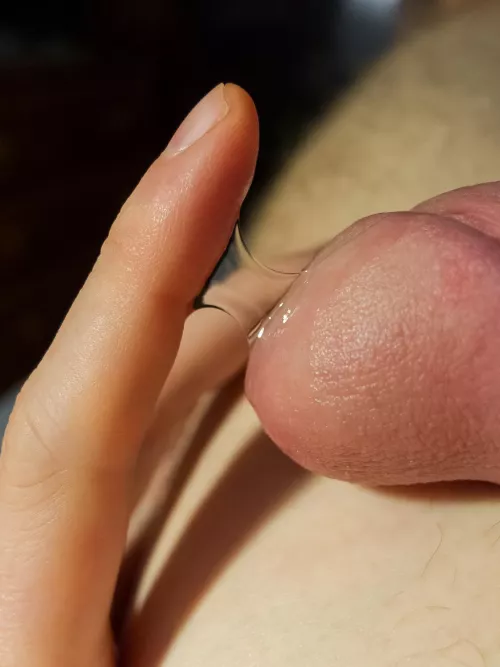 Salted caramel (47) by Checkandstripes