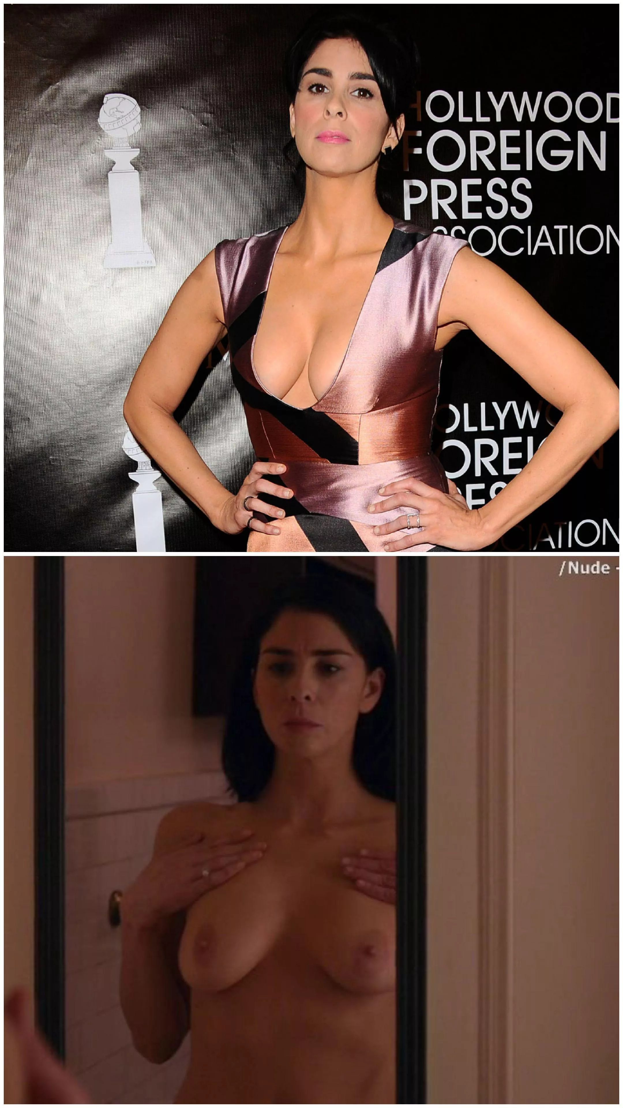 Sarah Silverman posted by Ill_Temporary1862