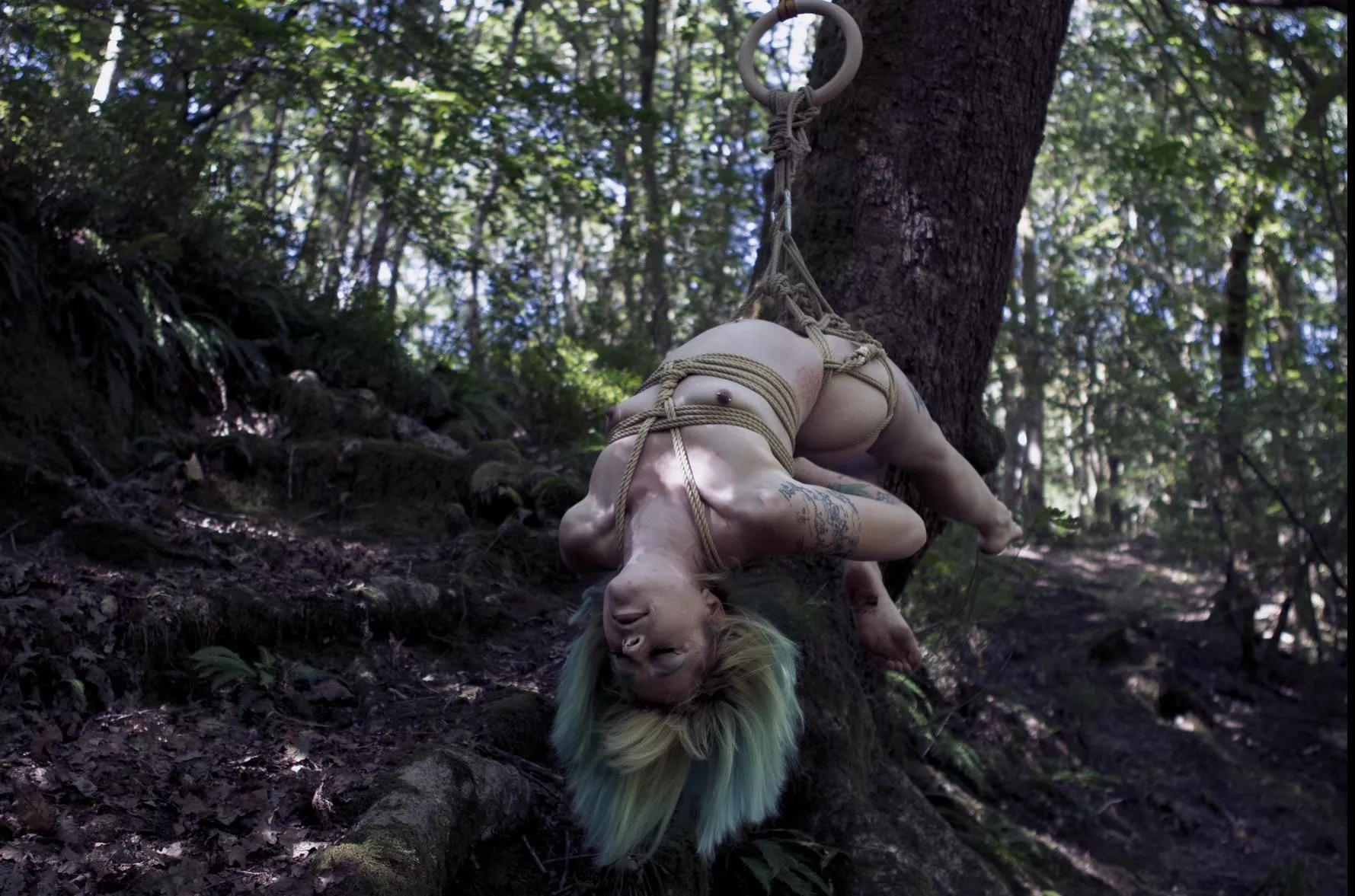 Some fun in the woods  posted by Careful-Quiet8684