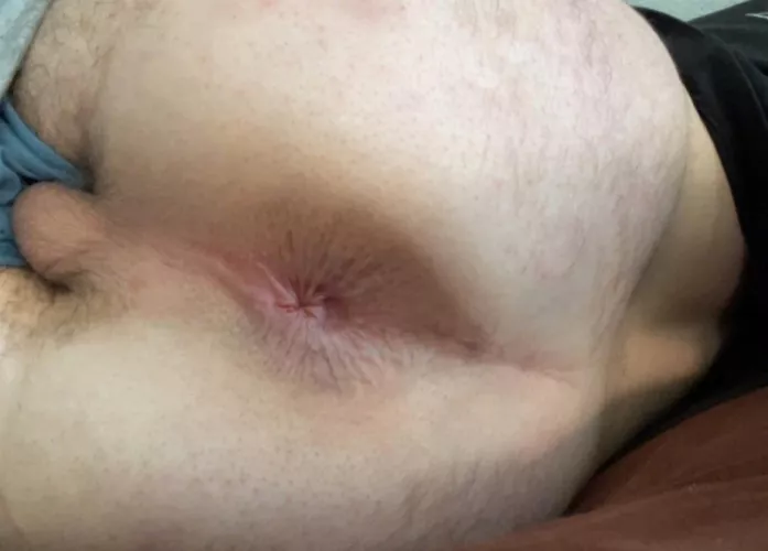 [19] who wants too breed me? ;) by Jdll0609