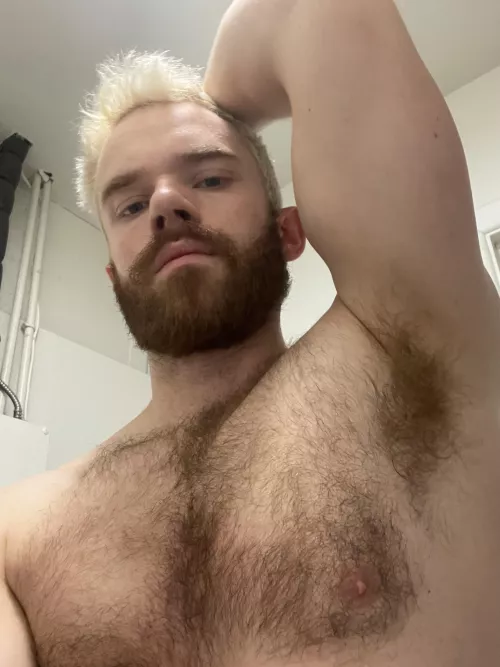 Bite it by hazelmere3