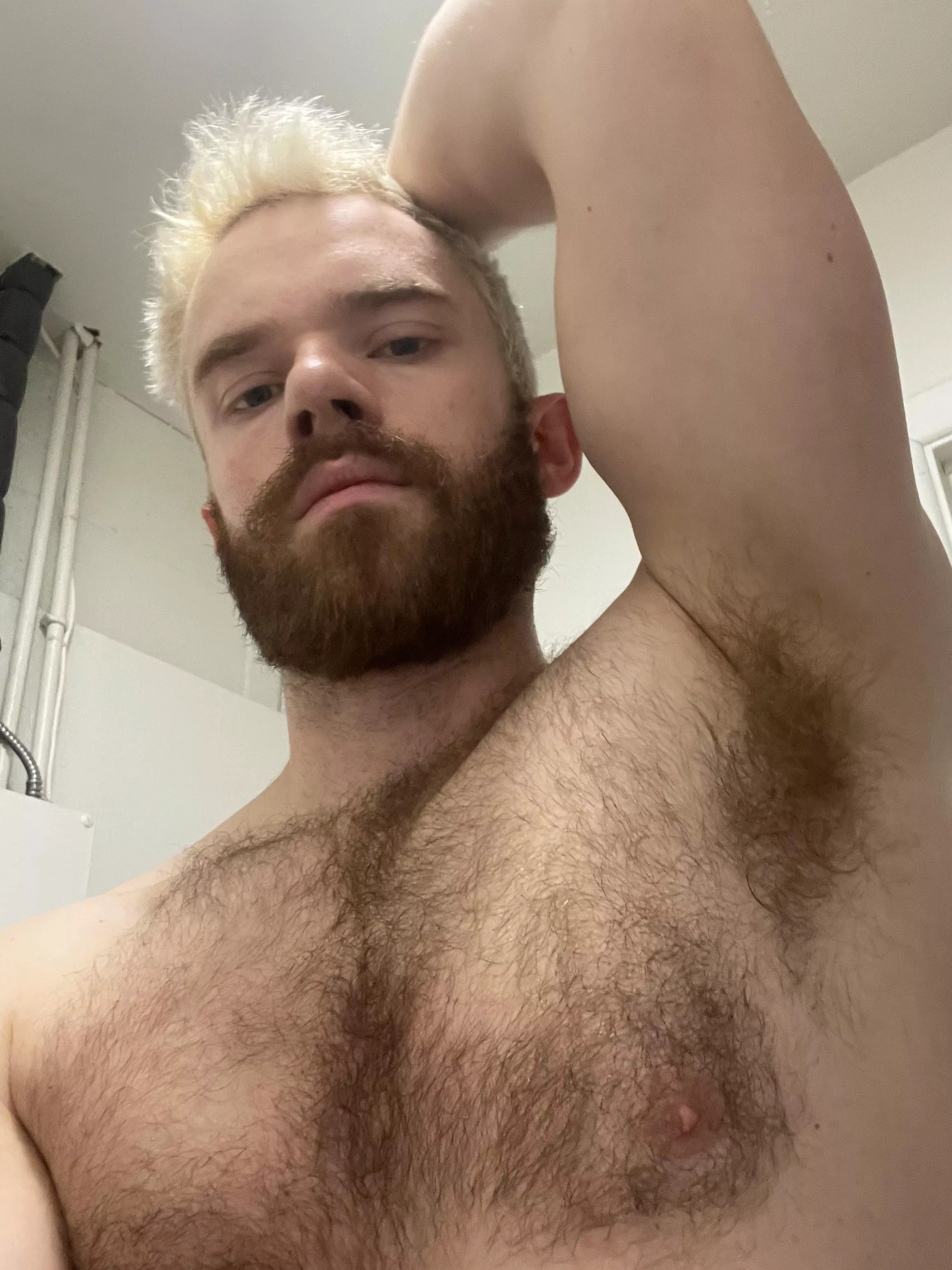 Bite it posted by hazelmere3