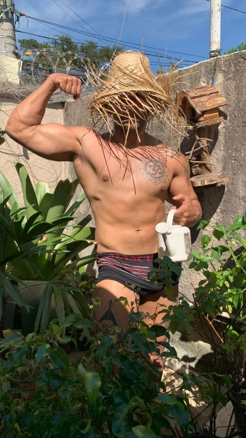 Garden morning  by lucasestoico