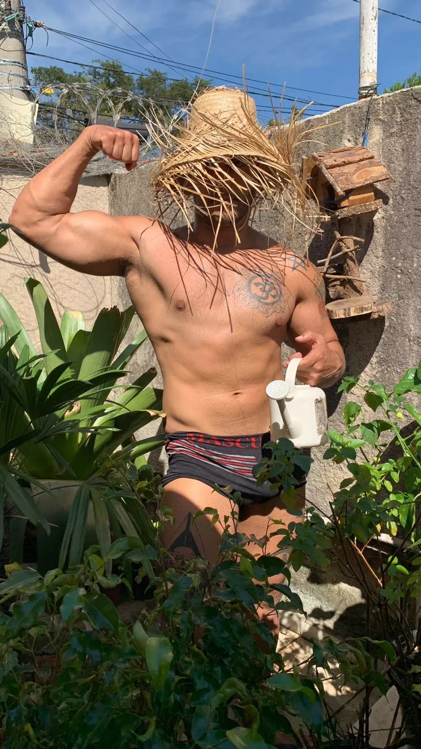 Garden morning  posted by lucasestoico