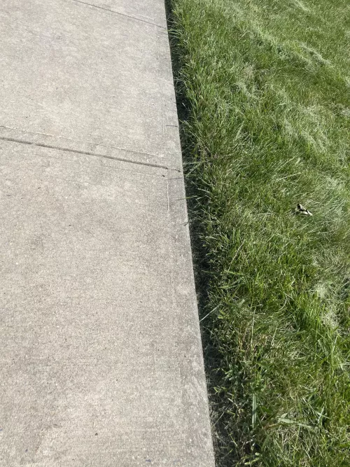 I’m pretty new to this how did i do? by r32_fan