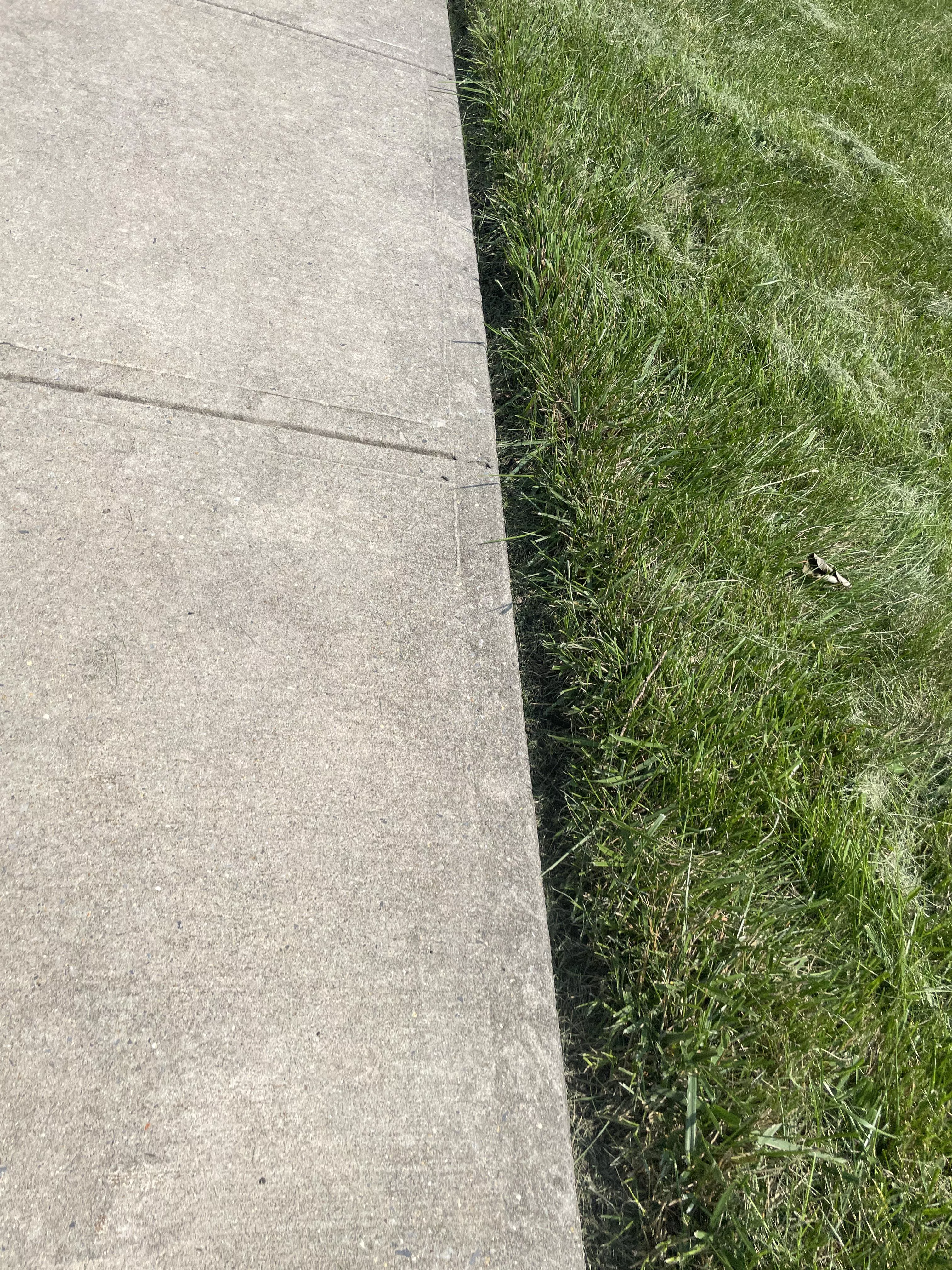 I’m pretty new to this how did i do? posted by r32_fan