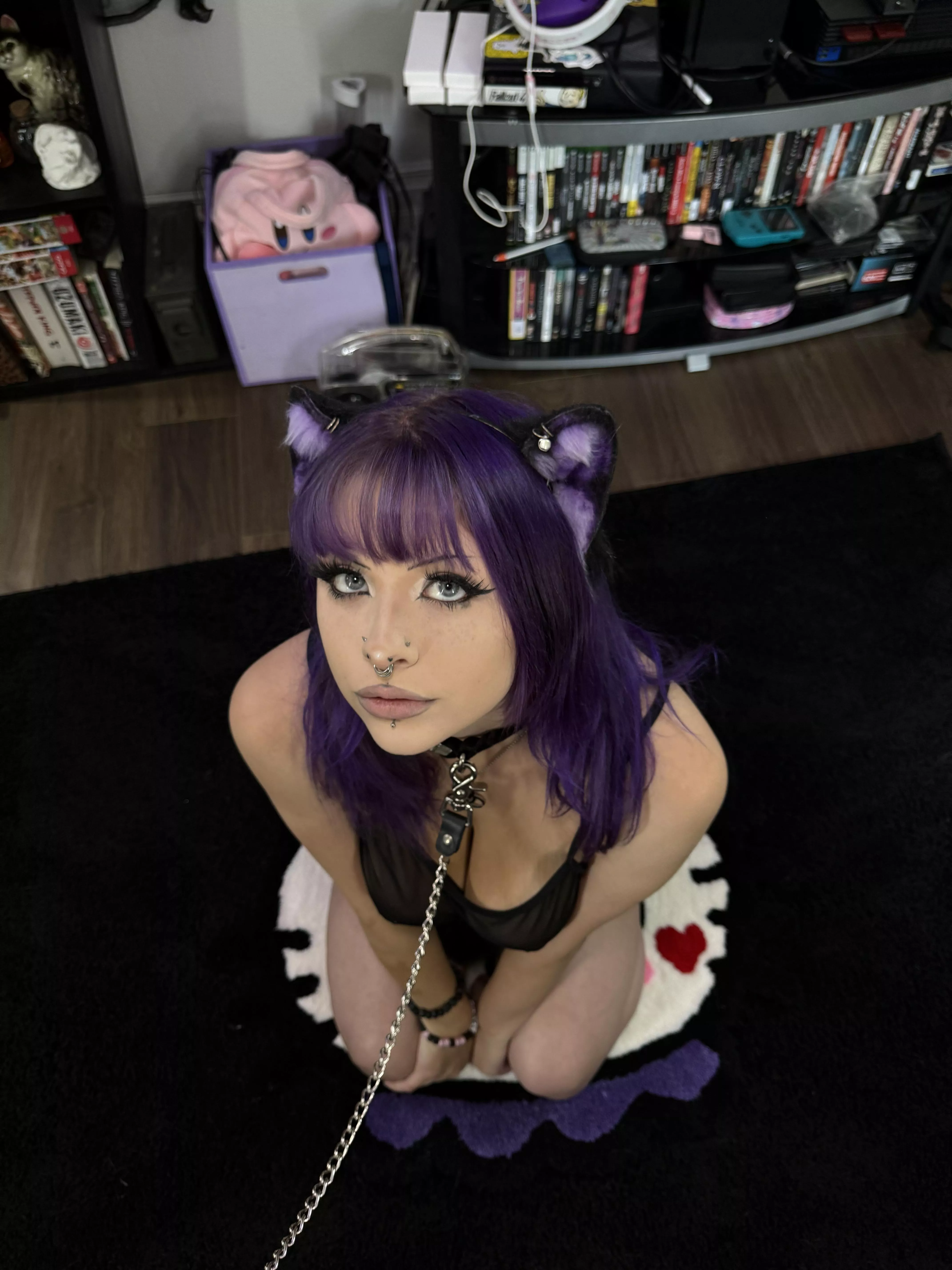 meow meow 🐾  posted by violenthomie