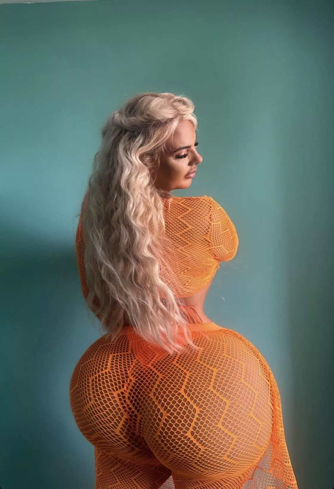 Orange to brighten your day  posted by Zkimwon