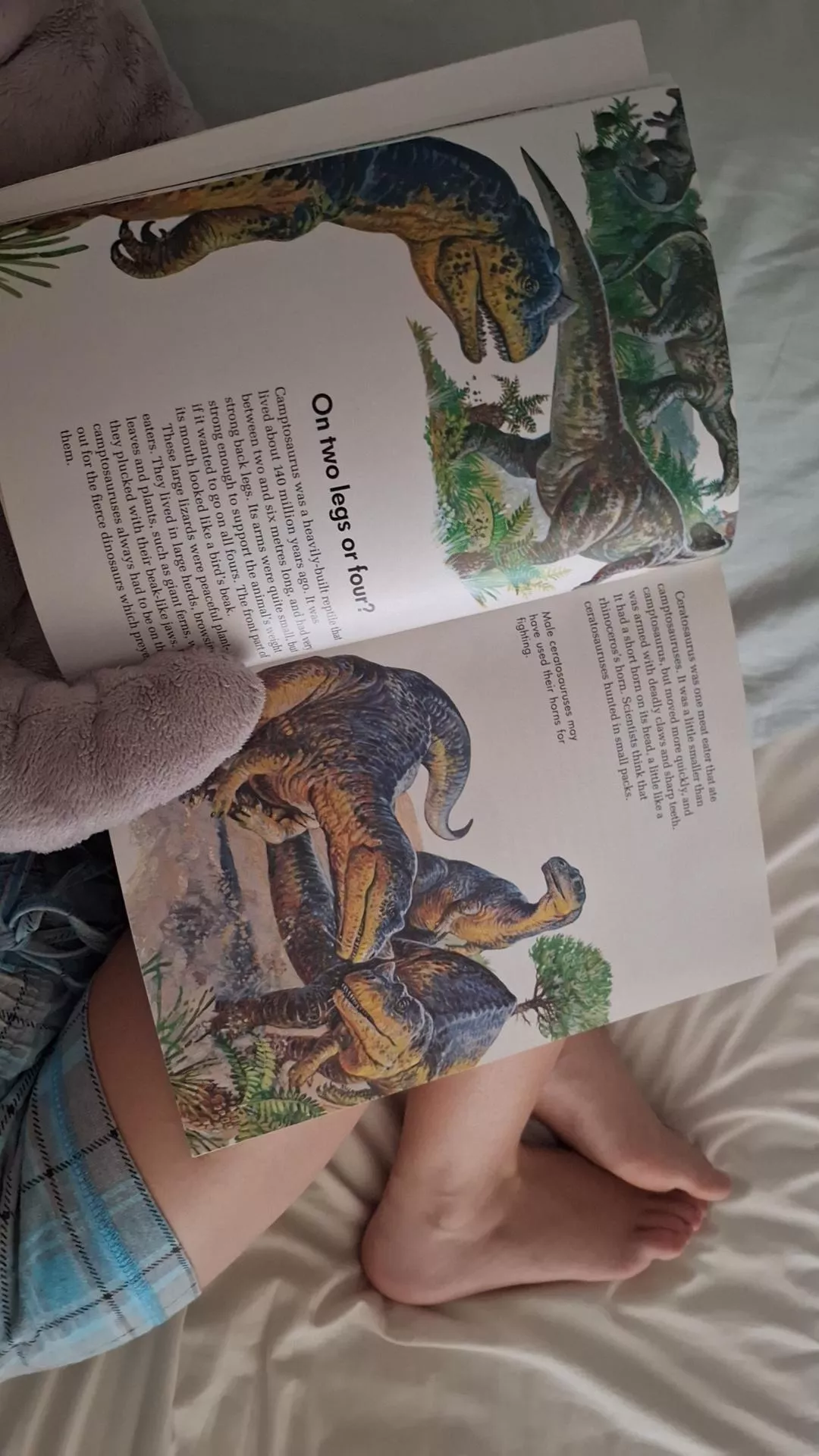 Rawr! 🦕 Two legs for me🤭 posted by littlesofi