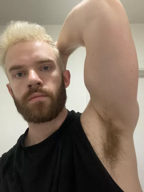 Sniff me by hazelmere3